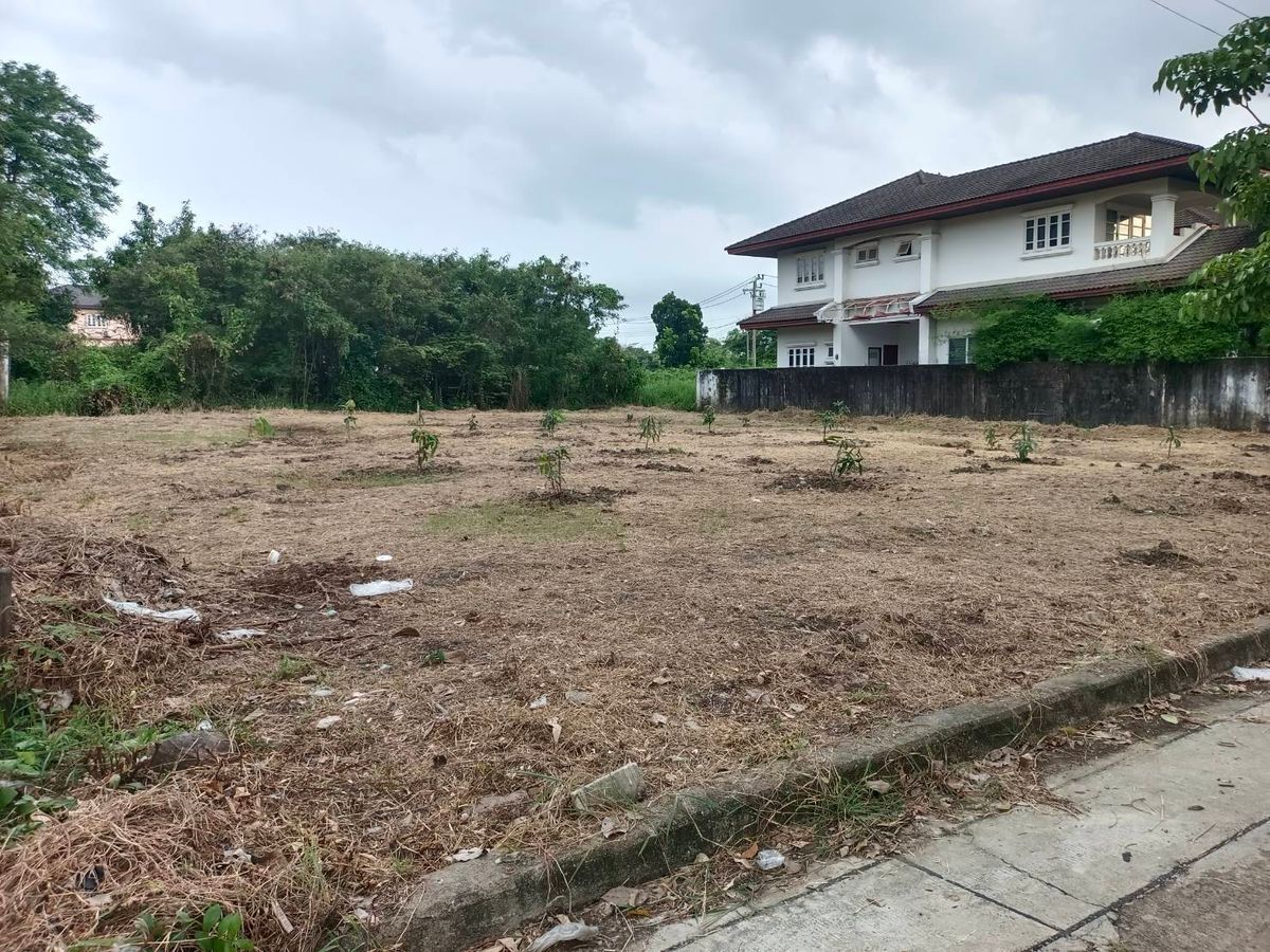 Land for sale 195 sq.w., Rueang Anan Village, Soi Phetkasem 64, Bang Khae – รูปที่ 3