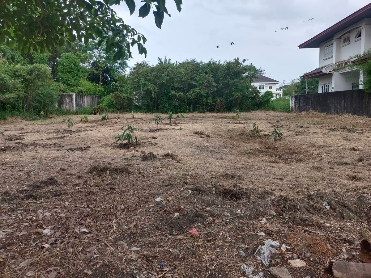 Land for sale 195 sq.w., Rueang Anan Village, Soi Phetkasem 64, Bang Khae – รูปที่ 2