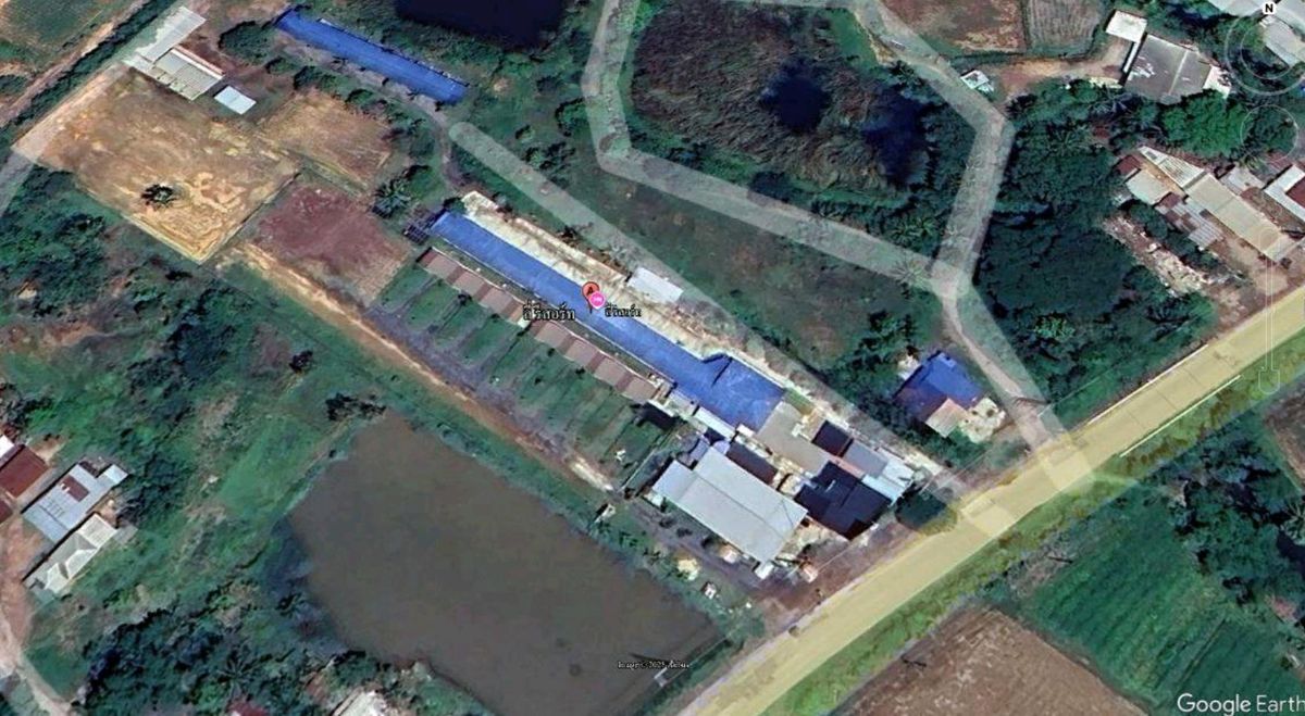 Selling resorts for investment in Nong Bua Daeng District, Chaiyaphum Province Selling resorts for investment in Nong Bua Daeng District, Chaiyaphum Province