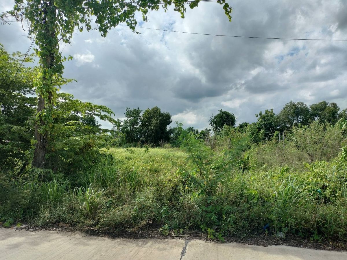 Land for sale, area of 2 rai (800 square wah), Soi Bueng Bon 10, Nong Suea District, Pathum Thani Province – รูปที่ 4