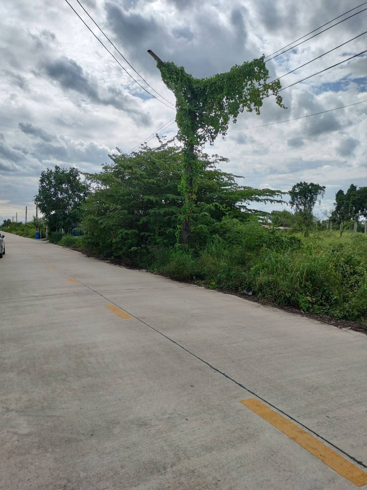 Land for sale, area of 2 rai (800 square wah), Soi Bueng Bon 10, Nong Suea District, Pathum Thani Province – รูปที่ 2