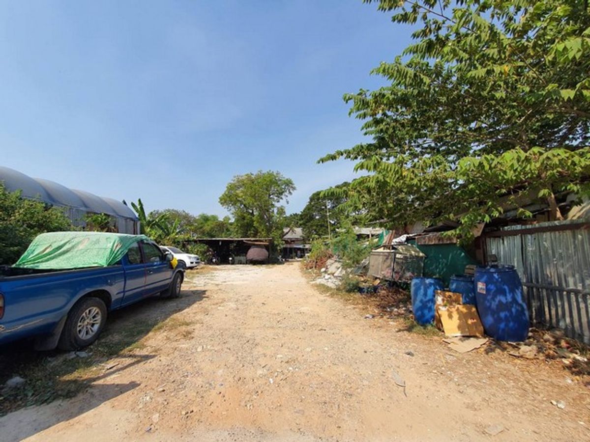 ขายที่ดิน 389 ตร.ว ซอยกรุงเทพกรีฑา 18 แยก 6 ประเวศ กรุงเทพ ใกล้ Market Place กรุงเทพกรีฑา – รูปที่ 4