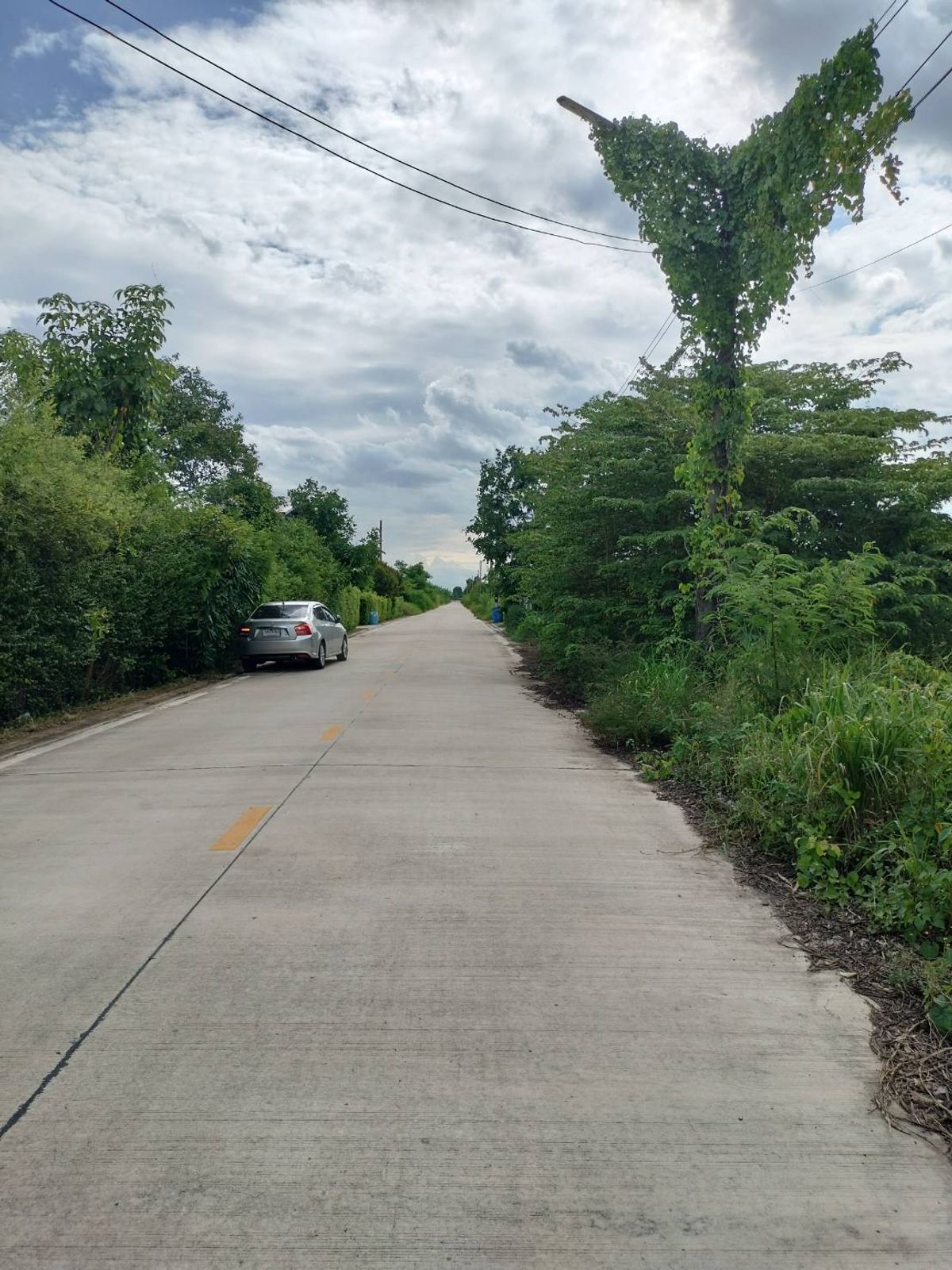 Land for sale, area of 2 rai (800 square wah), Soi Bueng Bon 10, Nong Suea District, Pathum Thani Province Land for sale, area of 2 rai (800 square wah), Soi Bueng Bon 10, Nong Suea District, Pathum Thani Province
