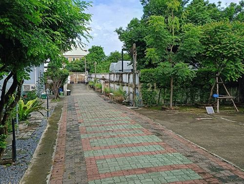 แปลงที่ดิน 3 แปลงรวม 308 ตร.วา – ทำเลเงียบใจกลางเมือง เหมาะสำหรับสร้างบ้านหลังใหญ่หรือโฮมออฟฟิศส่วนตัว No.59-HH-68031