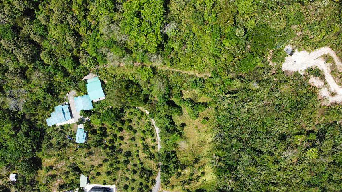 Patong Phuket Seaview Land Sale – รูปที่ 3