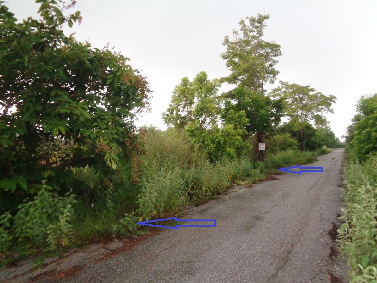 🚩 H1270 Land for sale 2 rai 23 square meters, Khlong 30 guard, near Srinakharinwirot University 🚩 H1270 Land for sale 2 rai 23 square meters, Khlong 30 guard, near Srinakharinwirot University