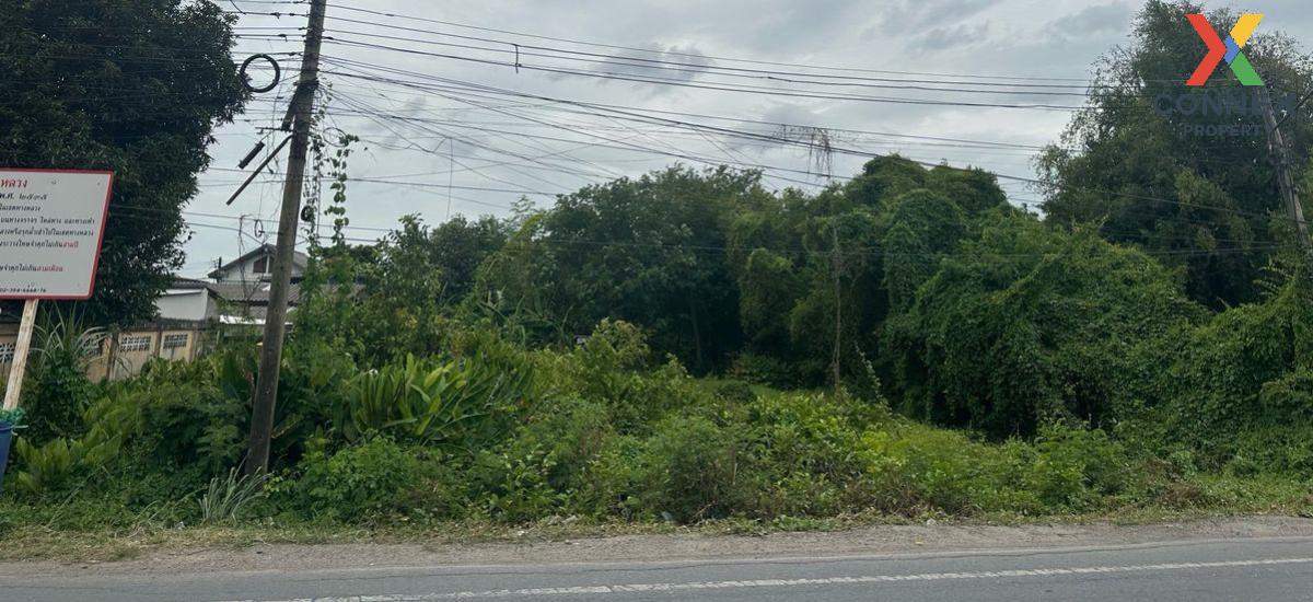 For Sale Vacant land 221 sq.w., Suan Prik Thai Subdistrict, Mueang District, Pathum Thani Province , Suan Phrik Thai , Mueang Pathum Thani , Pathum Thani , CX-125762