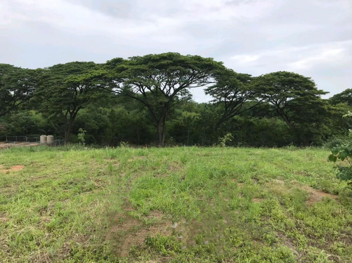 📣 Land for sale in Saraburi, Muak Lek, with a red deed of 2 rai 1 ngan 42 sq.w., priced at 5 million baht in the Chateau de LAmour project, Muak Lek, Saraburi.  selling himself – รูปที่ 2