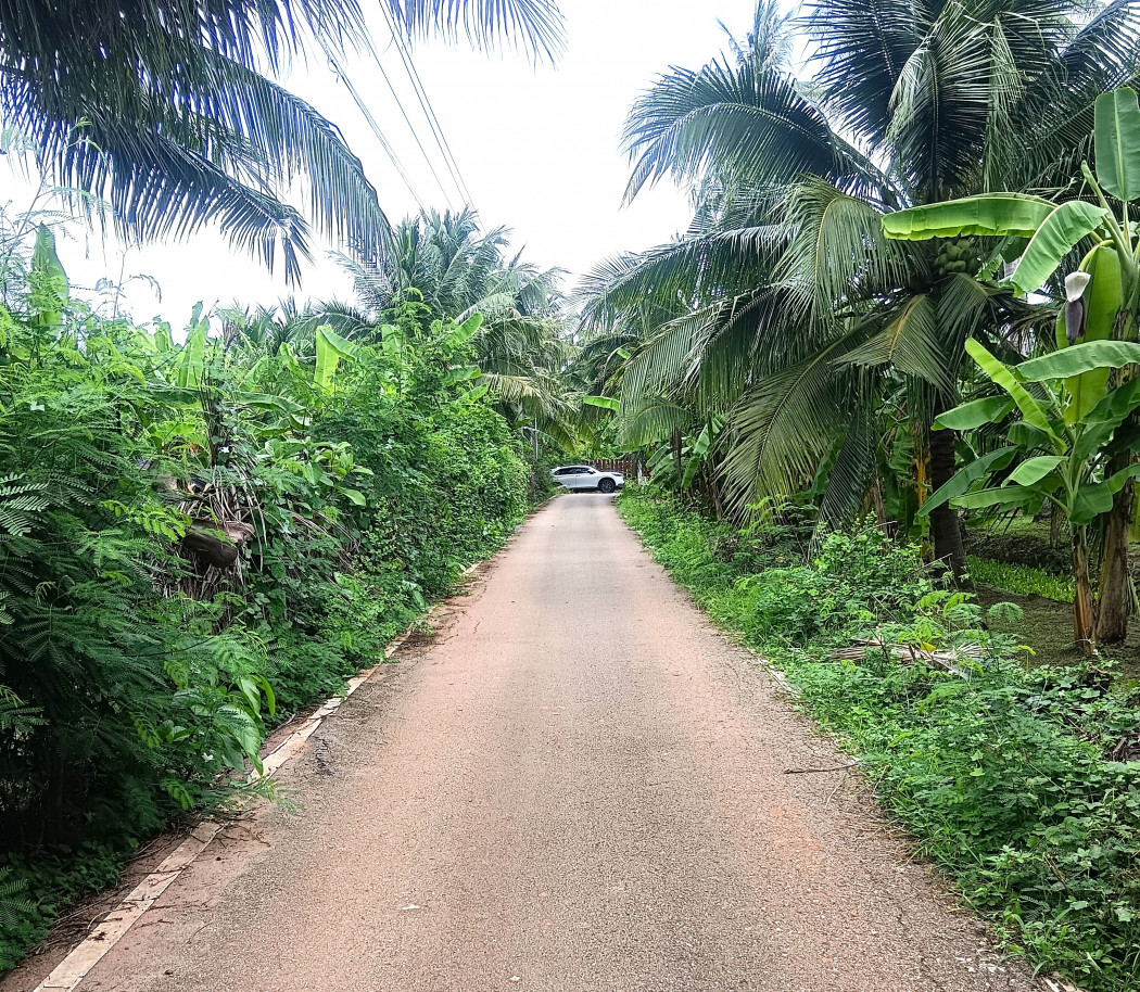Land for sale, area 6-2-62 rai, Soi Liap Ban Thi, near Mae Klong River, convenient travel, in the heart of Samut Songkhram. – รูปที่ 3