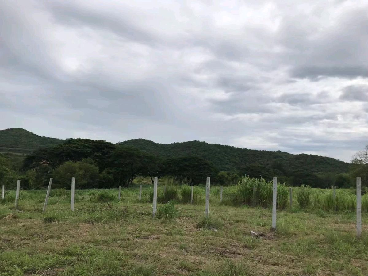 📣 Land for sale in Saraburi, Muak Lek, with a red deed of 2 rai 1 ngan 42 sq.w., priced at 5 million baht in the Chateau de LAmour project, Muak Lek, Saraburi.  selling himself – รูปที่ 3