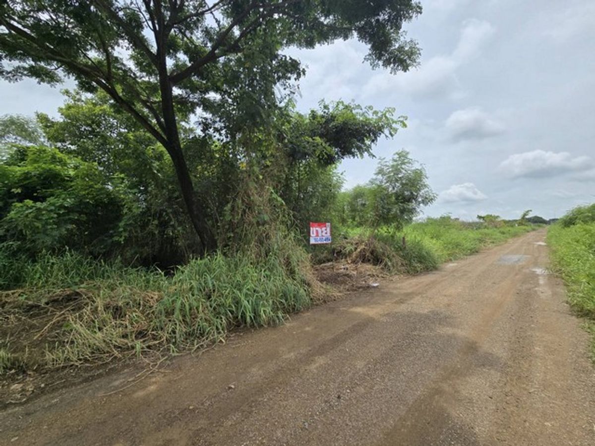 Land for sale 100 sq.w. Khlong Ha, Pathum Thani, good location near Rajamangala – รูปที่ 2