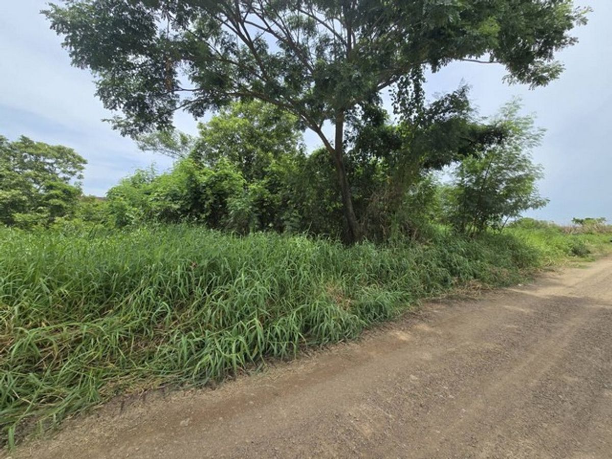 Land for sale 100 sq.w. Khlong Ha, Pathum Thani, good location near Rajamangala Land for sale 100 sq.w. Khlong Ha, Pathum Thani, good location near Rajamangala