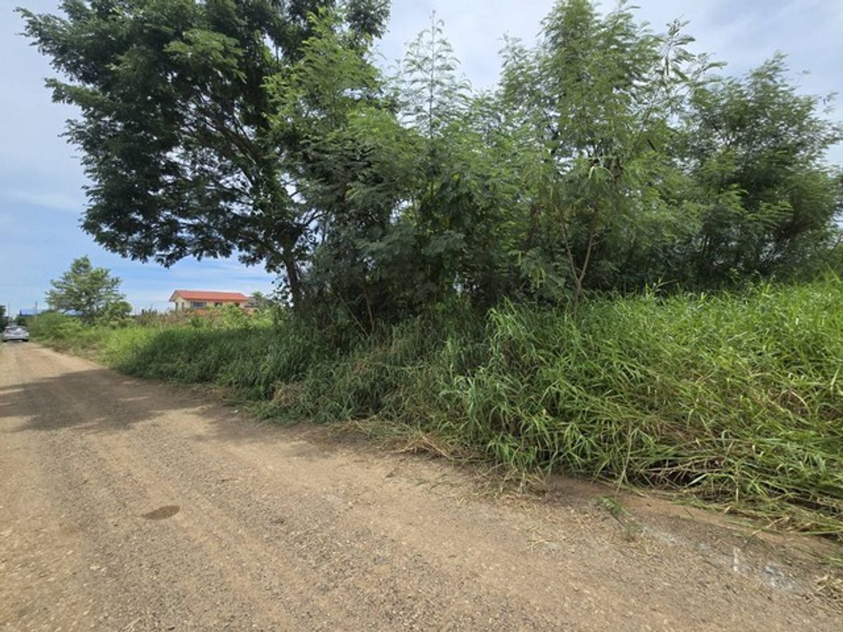 Land for sale 100 sq.w. Khlong Ha, Pathum Thani, good location near Rajamangala – รูปที่ 3