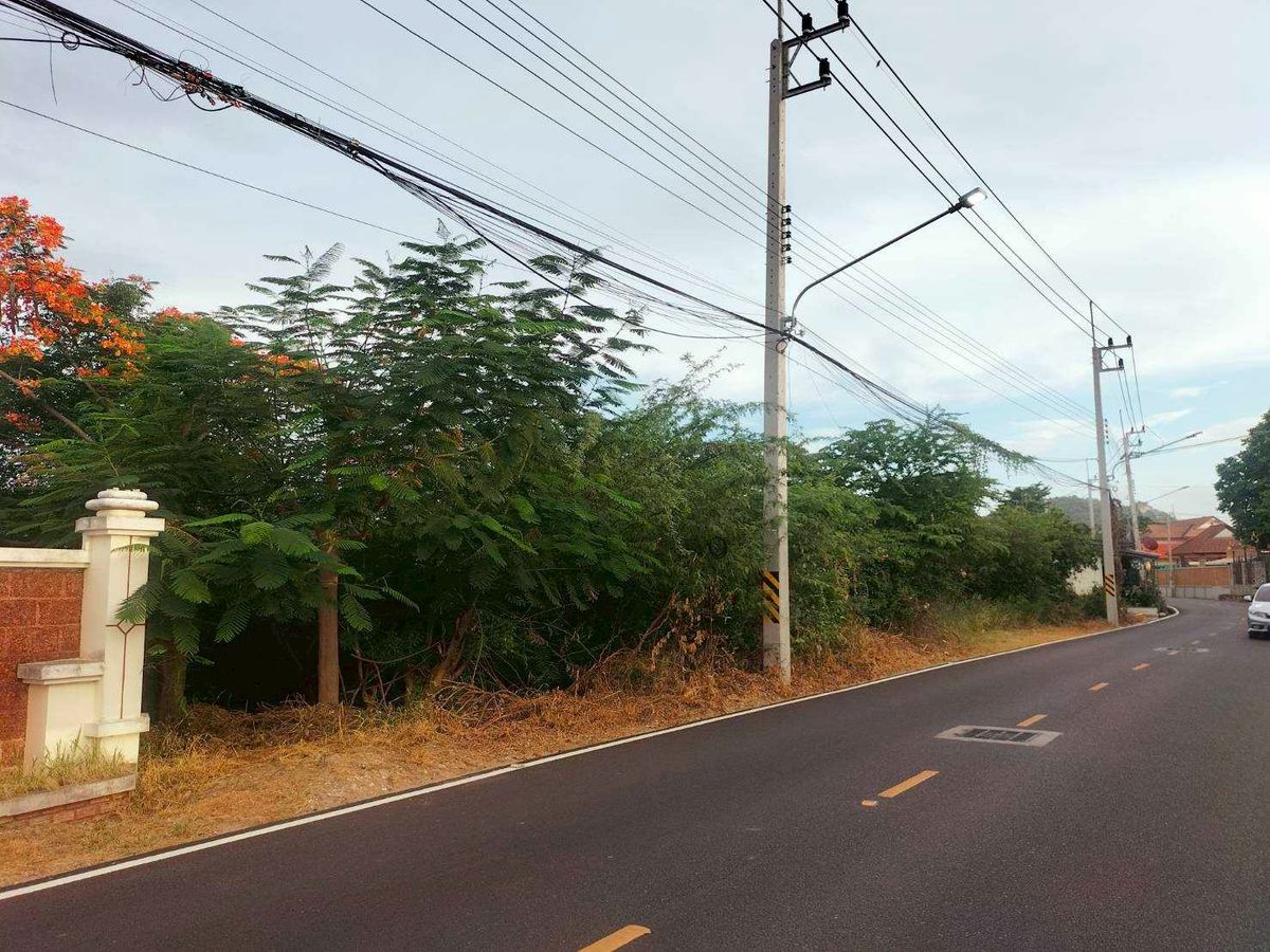 ขายที่ดินทำเลสวยติดถนน 2 ฝั่ง โฉนดครุฑแดง อ.หัวหิน จ.ประจวบคีรีขันธ์ – รูปที่ 2