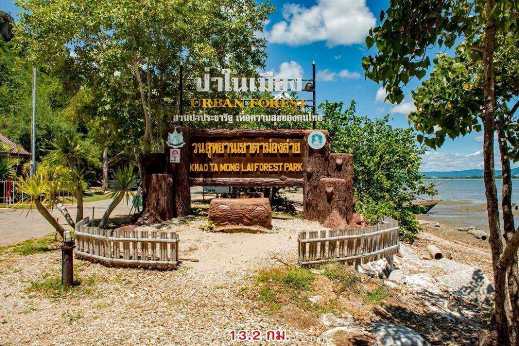 ขาย ที่ดิน เปล่า 5 ไร่ ใกล้ โรงพยาบาลประจวบคีรีขันธ์ – รูปที่ 4