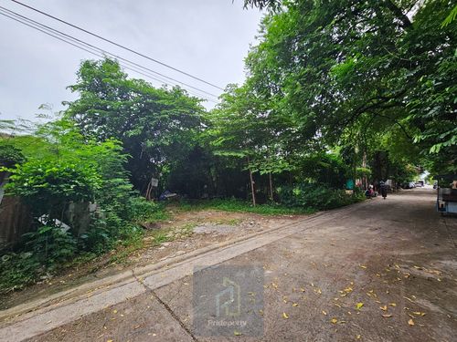 Land for sale 145 sq.w., Soi Punnawithi 43, Sukhumvit 101, wide road, square plot