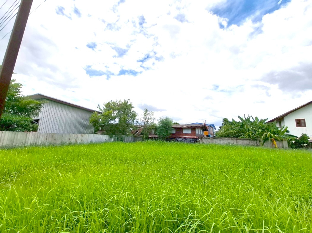 ขาย ที่ดิน เวฬุนาราม ซอย 7 ขนาด 80 ตรว ใกล้ถ.สรงประภาแค่ 900 ม. DD – รูปที่ 3