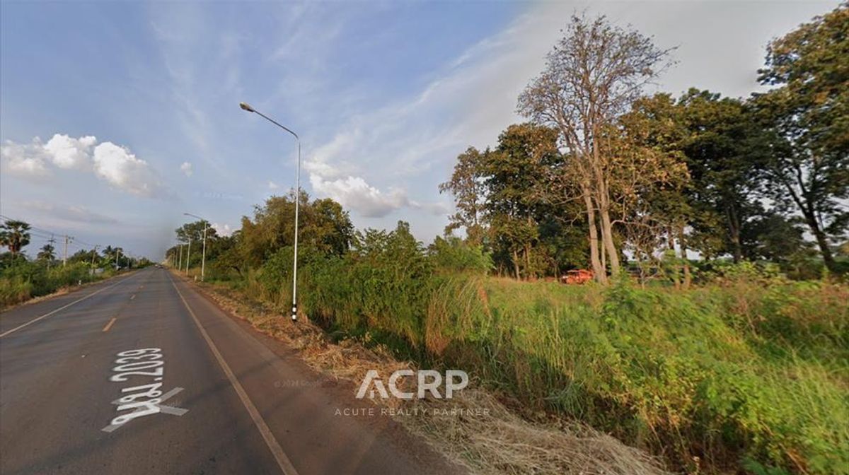 ขายที่ดิน หนองบุญมาก จังหวัดนครราชสีมา 1300 ไร่ – รูปที่ 3