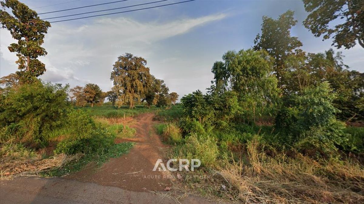 ขายที่ดิน หนองบุญมาก จังหวัดนครราชสีมา 1300 ไร่ – รูปที่ 2