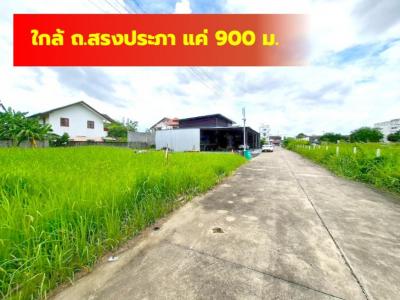 ขาย ที่ดิน เวฬุนาราม ซอย 7 ขนาด 80 ตรว ใกล้ถ.สรงประภาแค่ 900 ม. DD