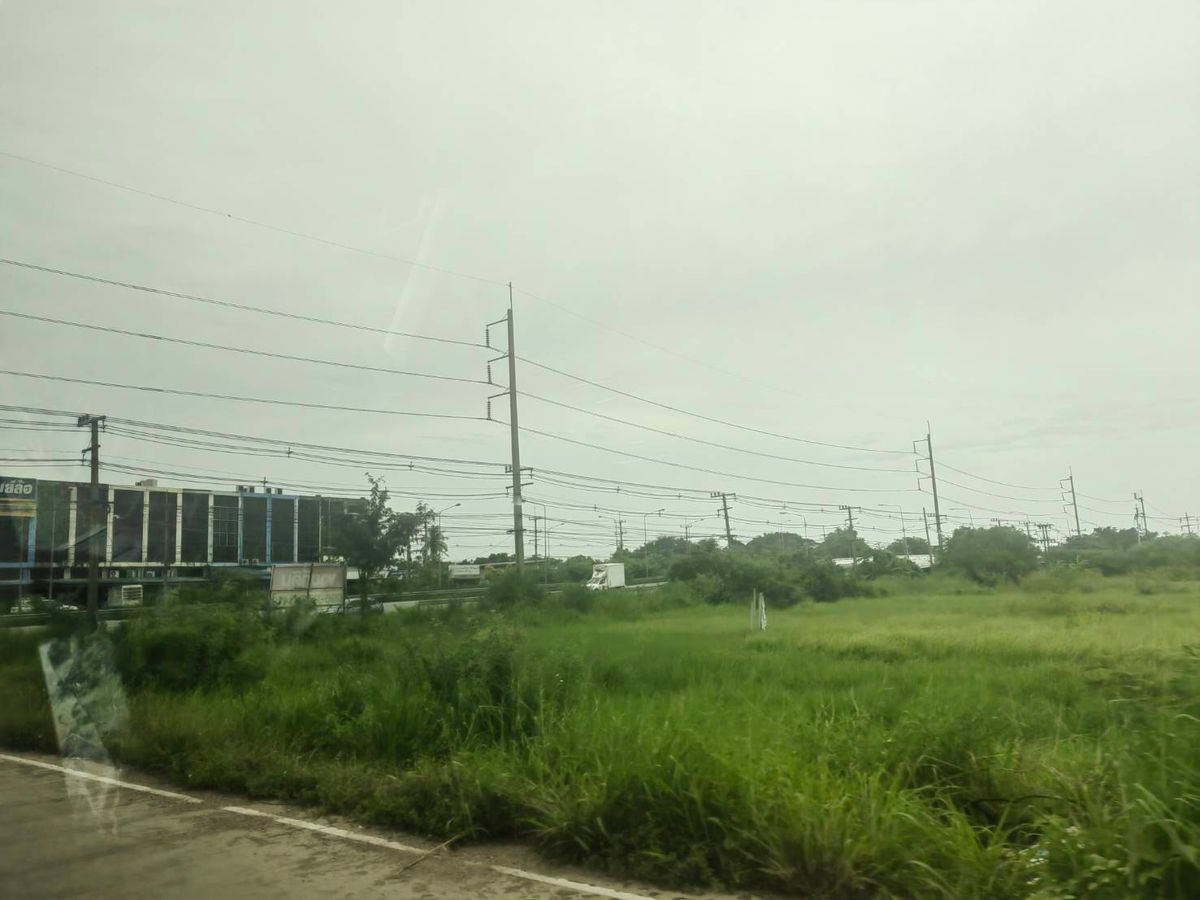 ขายที่ดิน 123 ไร่ แปลงสวยติดถนนใหญ่ ถนนสุวินทวงศ์ อ.บางน้ำเปรี้ยว จ.ฉะเชิงเทรา วิ่งเส้น 304 จากมีนบุรี   – รูปที่ 4