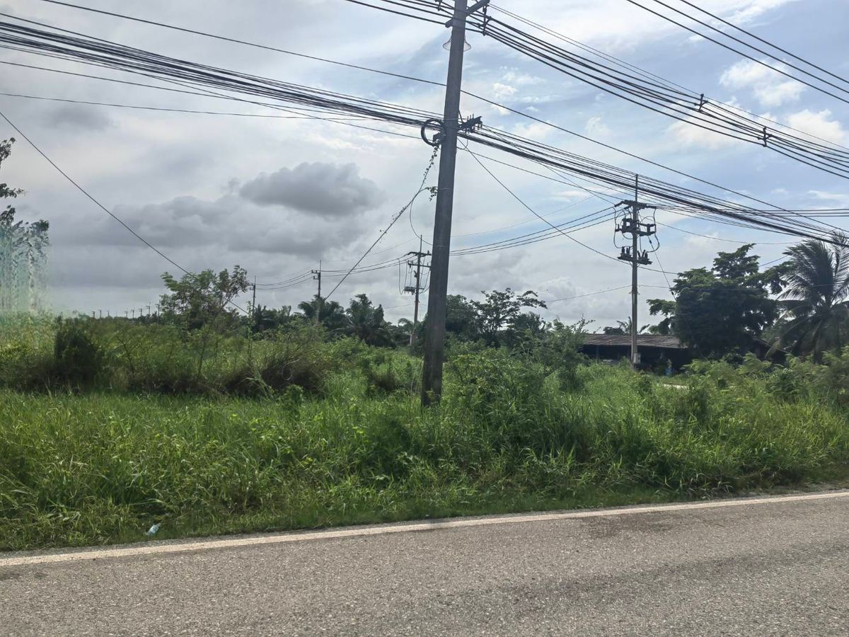 ขายที่ดิน 123 ไร่ แปลงสวยติดถนนใหญ่ ถนนสุวินทวงศ์ อ.บางน้ำเปรี้ยว จ.ฉะเชิงเทรา วิ่งเส้น 304 จากมีนบุรี   – รูปที่ 2