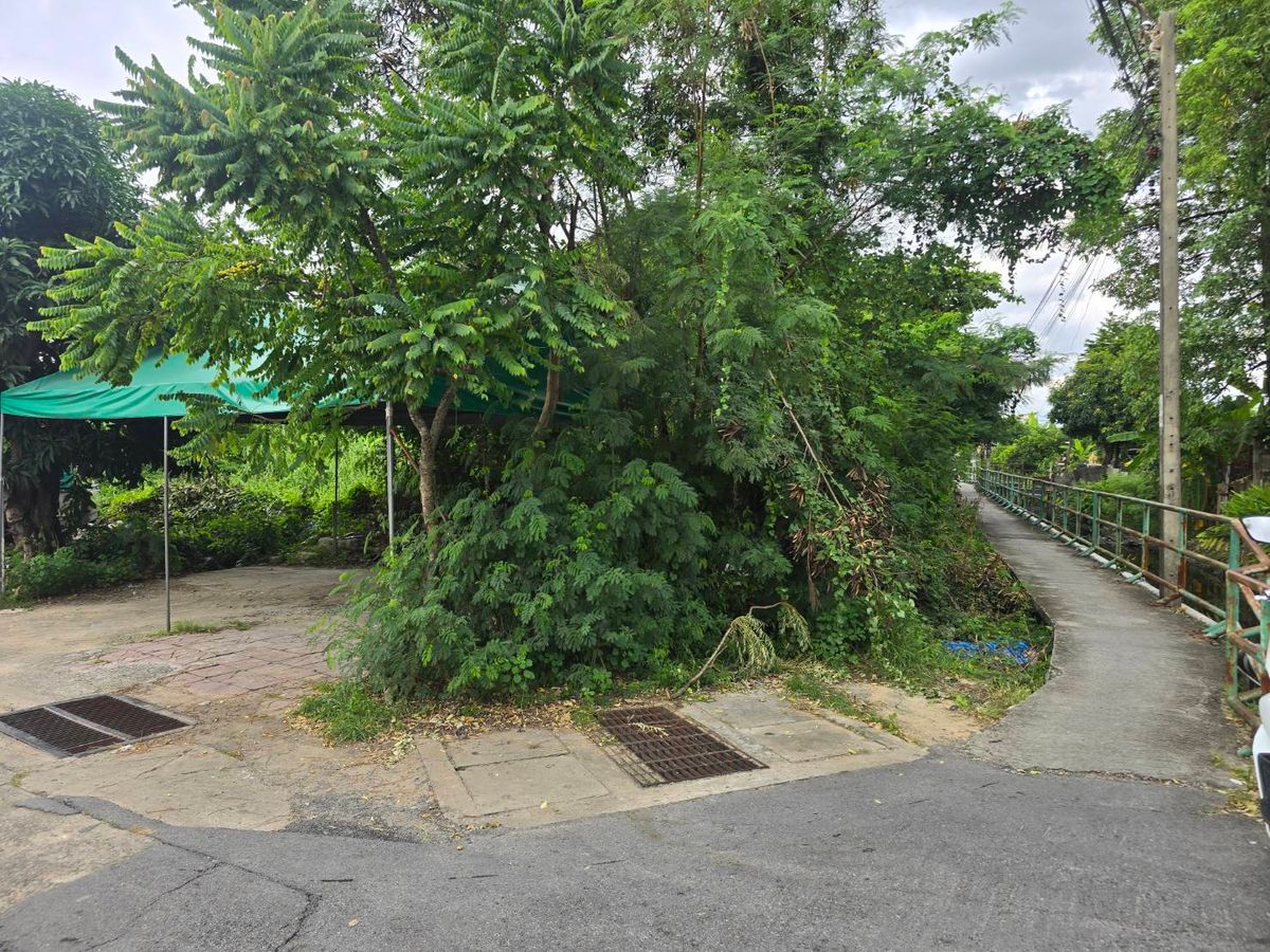 379 square wah of land (almost 1 rai) located in Soi Petchkasem 77, intersection 3-12, excellent location, convenient, close to the community. Travel in and out in many directions – รูปที่ 4