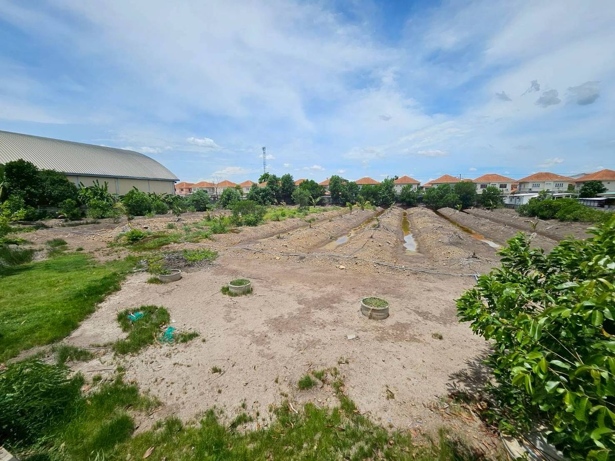 ขาย ที่ดิน รังสิต คลอง 2 ซอยบงกต 33 คลองหลวง ถมแล้ว แปลงสวย ขนาด 6 ไร่ ราคา 39,000,000 – รูปที่ 4