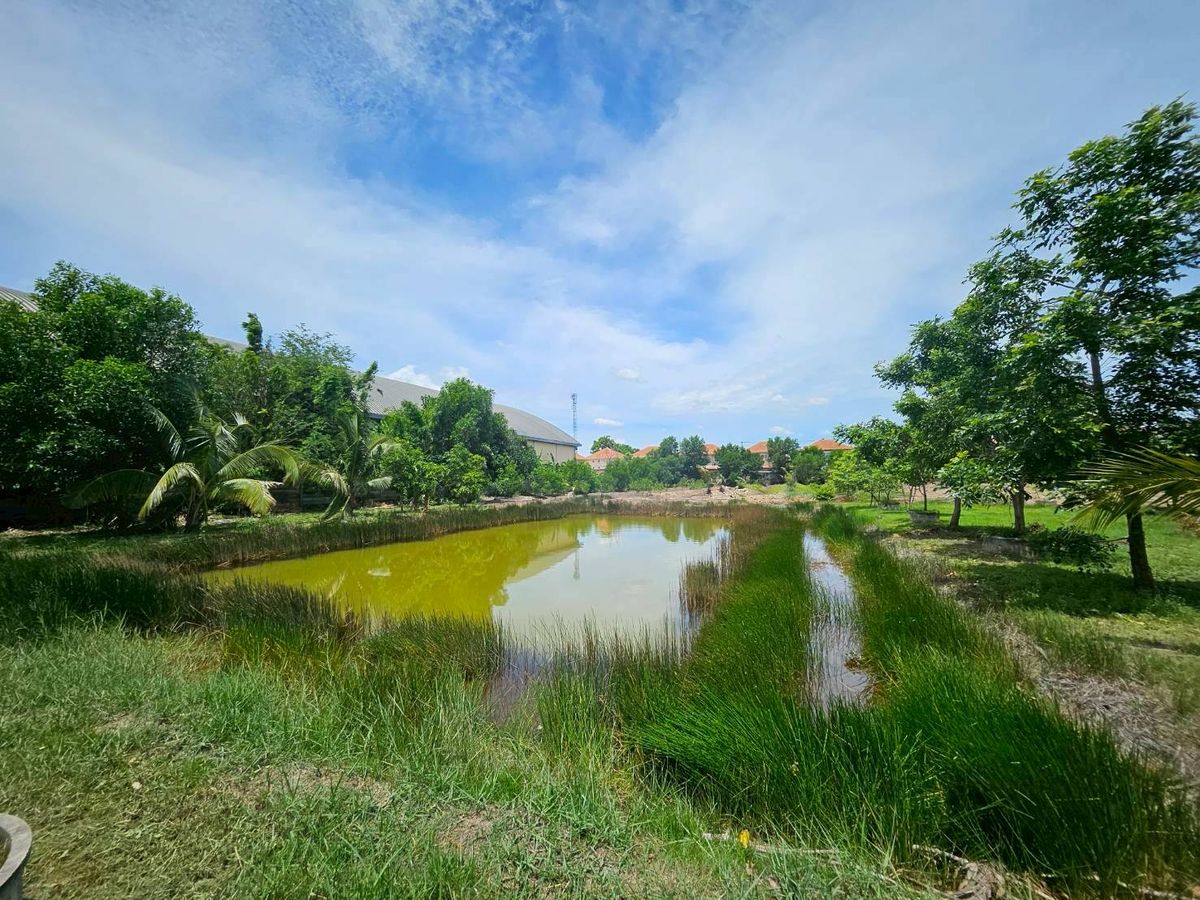 ขาย ที่ดิน รังสิต คลอง 2 ซอยบงกต 33 คลองหลวง ถมแล้ว แปลงสวย ขนาด 6 ไร่ ราคา 39,000,000 – รูปที่ 2