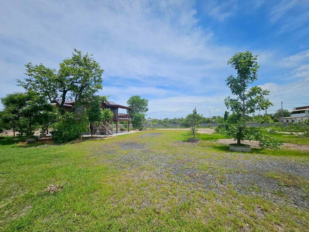 ขาย ที่ดิน รังสิต คลอง 2 ซอยบงกต 33 คลองหลวง ถมแล้ว แปลงสวย ขนาด 6 ไร่ ราคา 39,000,000 – รูปที่ 3