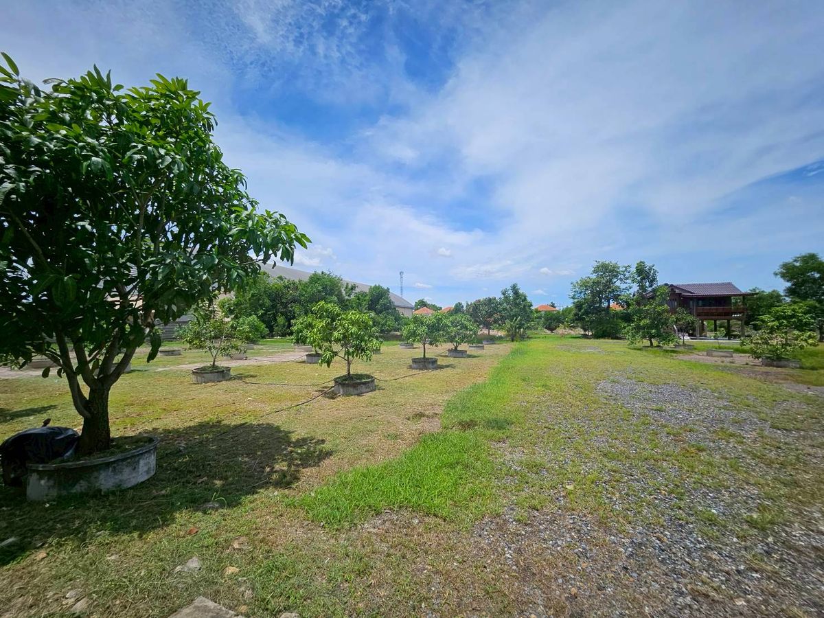 Land for sale in Rangsit Khlong 2, Soi Bong, 33, Khlong Luang, and beautiful plots, size 6 rai. Price 39,000,000 Land for sale in Rangsit Khlong 2, Soi Bong, 33, Khlong Luang, and beautiful plots, size 6 rai. Price 39,000,000