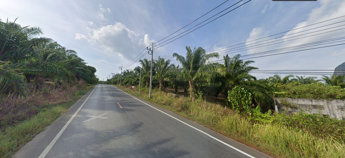 ขาย ที่ดิน ขนาดใหญ่ 24 ไร่ 2 งาน 58. ตร.ว. คลองเคียน  ตะกั่วทุ่ง จ.พังงา  – รูปที่ 4