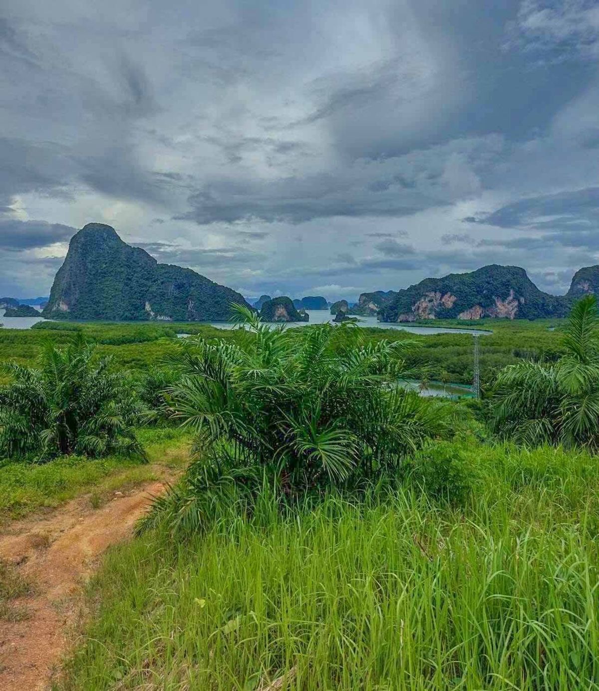 Large land for sale 24 rai 2 ngan 58 sq.w. Khlong Khian Takua Thung, Phang Nga Province