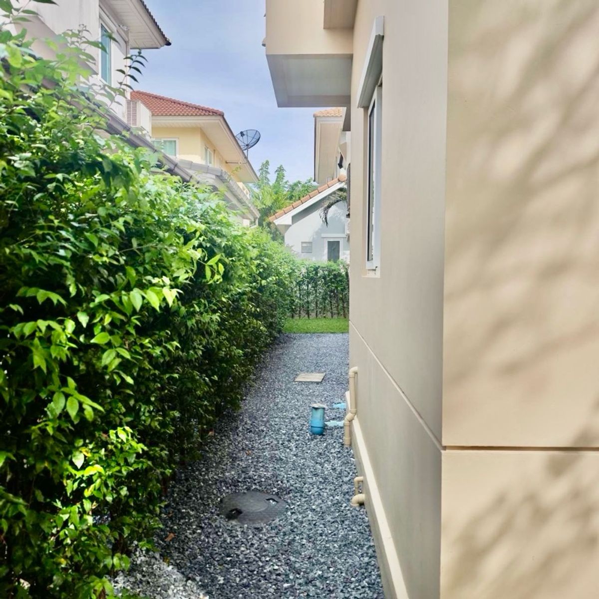 ให้เช่า บ้านเดี่ยว🏡หมู่บ้านเพอร์เฟคเพลส เลคโซน รามคำแหง164 3ห้องนอน3ห้องน้ำ – รูปที่ 4