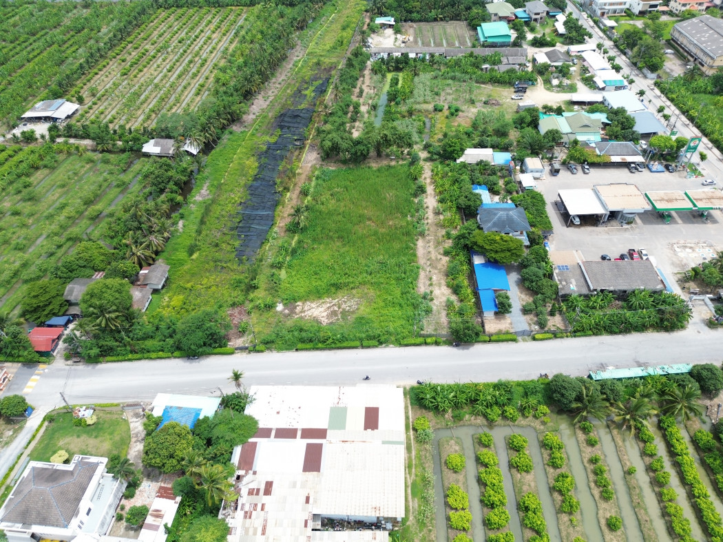 ขาย ที่ดิน 2 ไร่ บางบอน 4 ซอย 7  ใกล้ถ.บางบอน 4 แค่ 100 ม. KK – รูปที่ 4