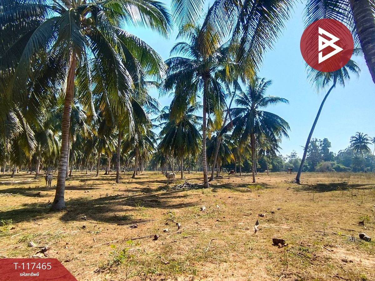 ขายที่ดิน เนื้อที่ 15 ไร่ บางสะพานน้อย ประจวบคีรีขันธ์ – รูปที่ 2