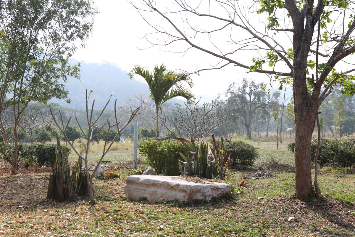 🌿 ขายที่ดินเขาใหญ่ 116 ไร่ ติดน้ำ ติดเขา พร้อมบ้านพักตากอากาศริมน้ำ | อ.ปากช่อง จ.นครราชสีมา 🌿 – รูปที่ 4
