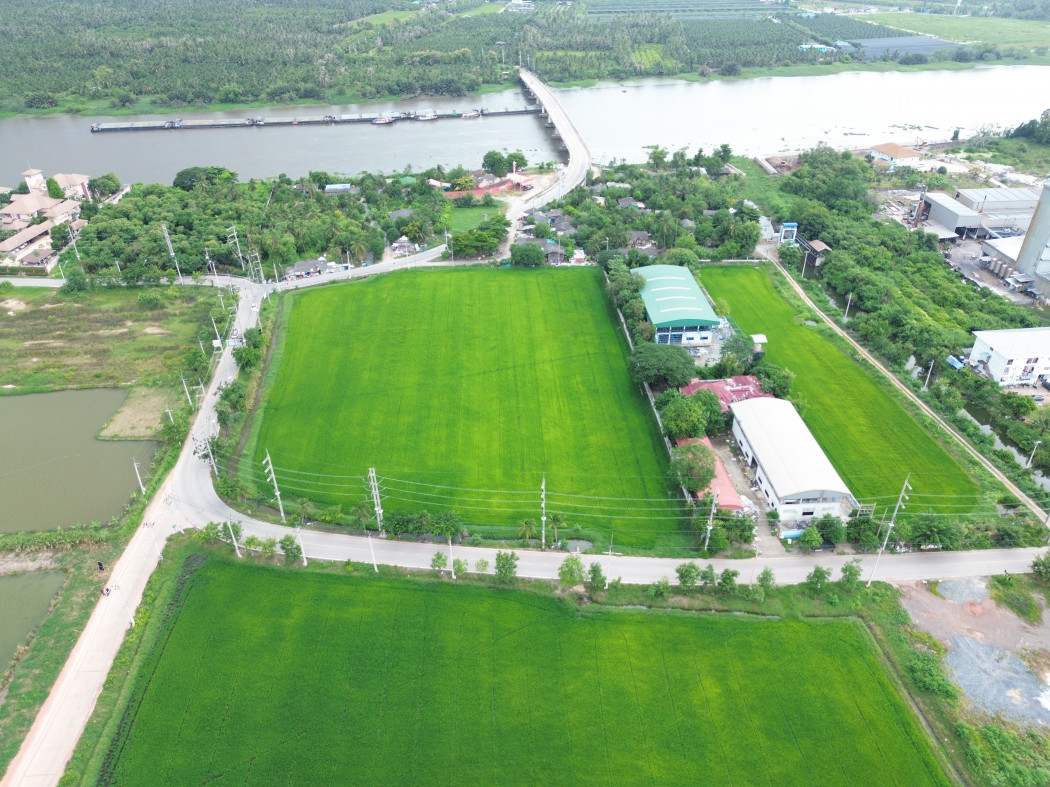 Land for sale, Tha Sao, Krathum Baen, 11 rai 94 sq w, near Setthakit Road 1, only 6.7 km. KK – รูปที่ 4