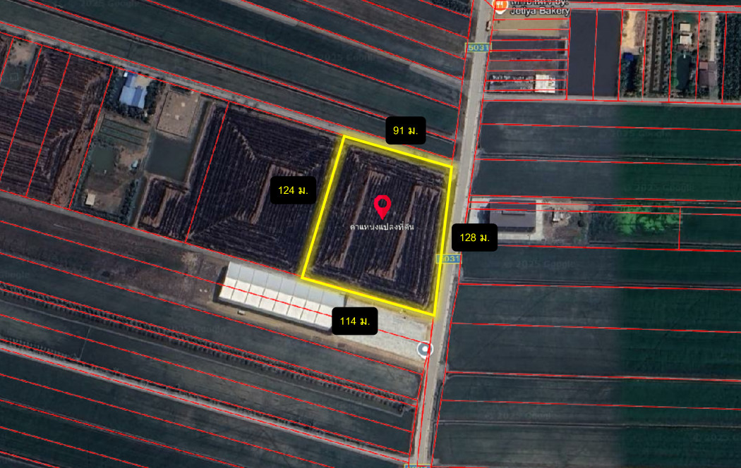 ขาย ที่ดิน ผังสีม่วง ไทรใหญ่ 8 ไร่ ใกล้ถ.ปทุมธานี-บางเลนแค่ 2.9 กม. KK – รูปที่ 3