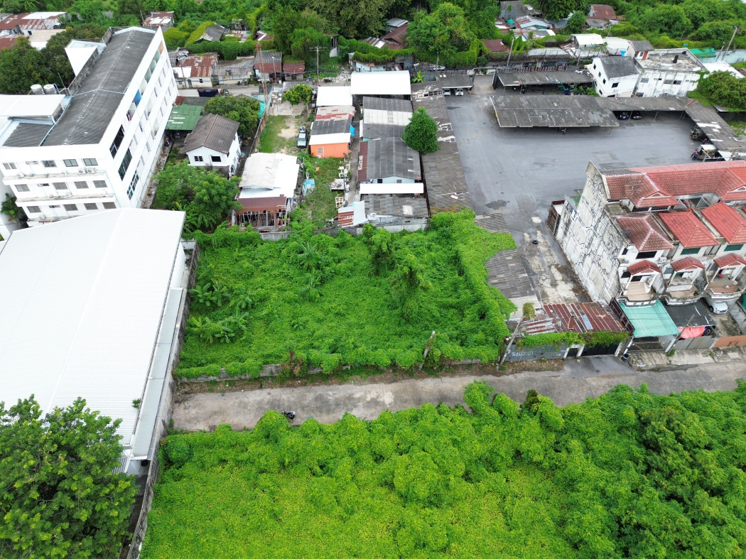ขาย ที่ดิน ซอย วชิรธรรมสาธิต 36 ขนาด 240 ตรว ใกล้ ถ.วชิรธรรมสาธิตแค่ 450 ม. KK – รูปที่ 4