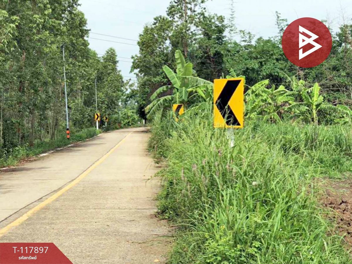 Land for sale in an area of 46 rai 3 ngan 88 sq.w. Sri Maha Phot, Prachinburi – รูปที่ 3