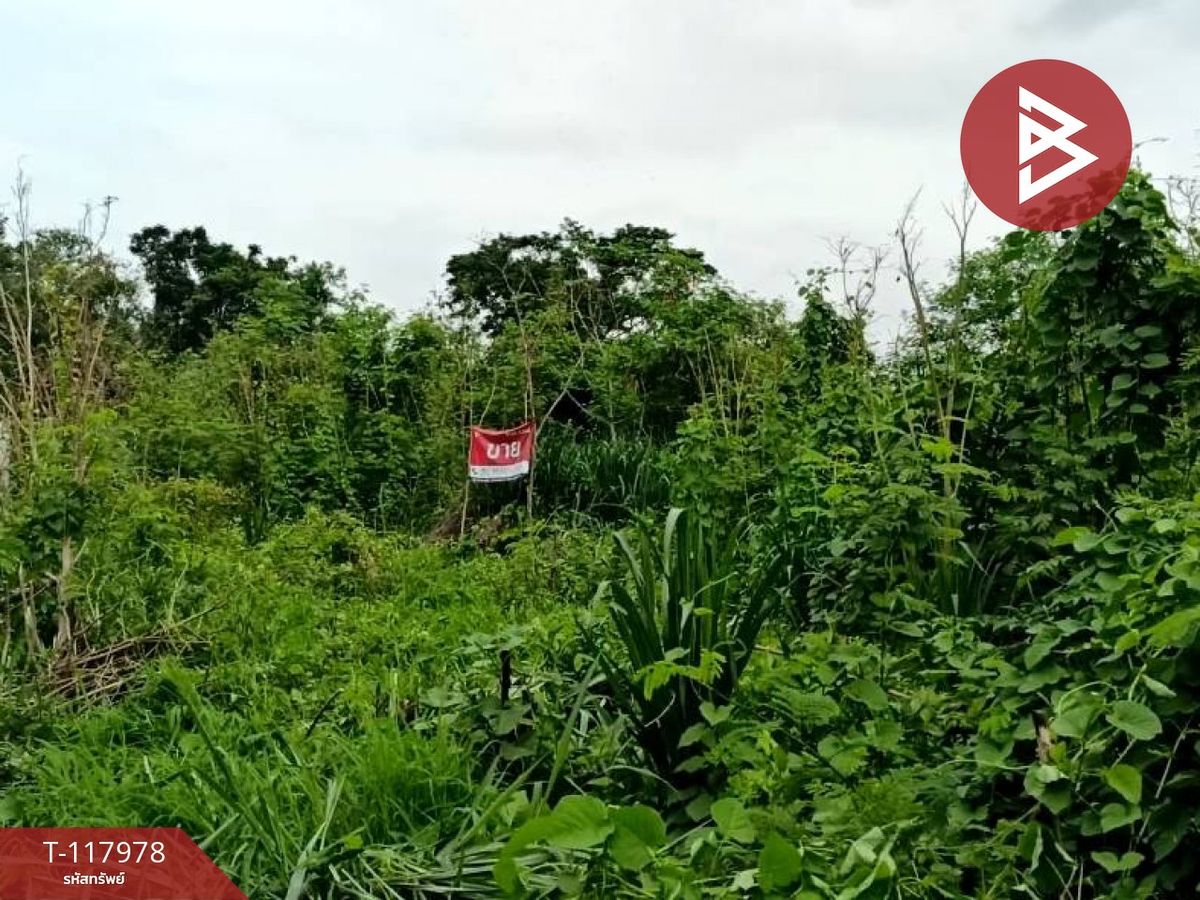 ขายที่ดิน เนื้อที่ 50 ตร.วา วัดไทร นครสวรรค์ – รูปที่ 3