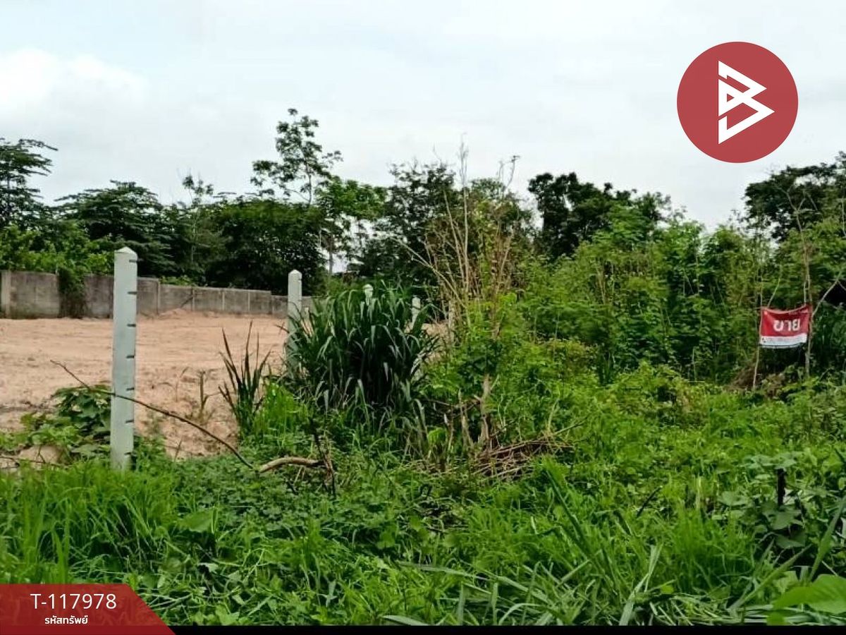 ขายที่ดิน เนื้อที่ 50 ตร.วา วัดไทร นครสวรรค์ – รูปที่ 2