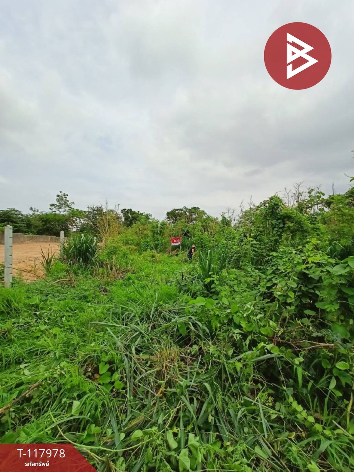 ขายที่ดิน เนื้อที่ 50 ตร.วา วัดไทร นครสวรรค์ – รูปที่ 4