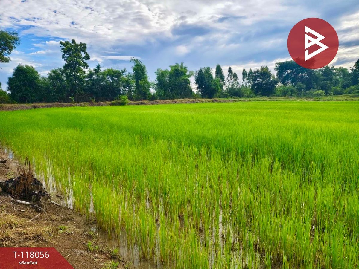 ขายที่ดินเปล่า เนื้อที่ 10 ไร่ ท่าตะโก นครสวรรค์ – รูปที่ 3