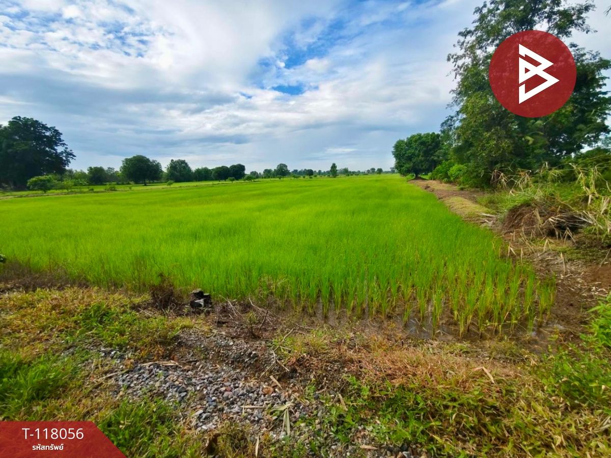 ขายที่ดินเปล่า เนื้อที่ 10 ไร่ ท่าตะโก นครสวรรค์ – รูปที่ 4