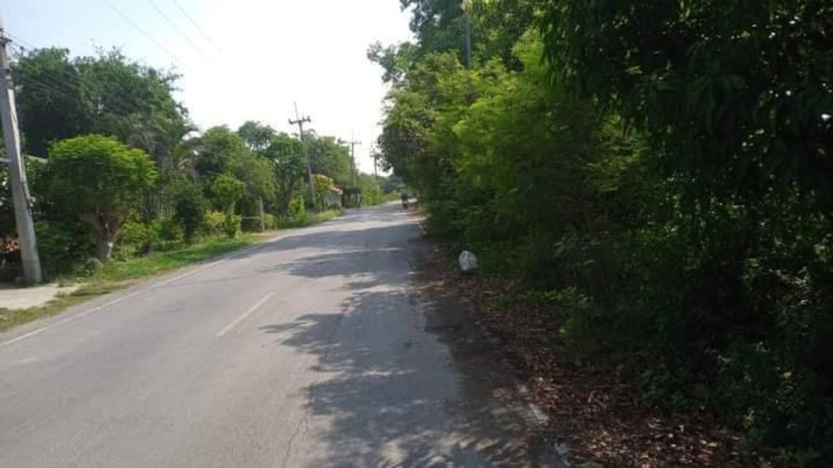 ขายบ้านพร้อมที่ดินริมแม่น้ำลพบุรี บรรยากาศสงบ วิวทุ่งนา ทำเลดี ใกล้ชุมชน – รูปที่ 2