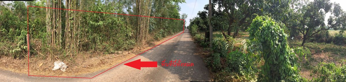 ขายที่ดินปราจีนบุรี (โคกไทย) 1 ไร่ 1 งาน  – รูปที่ 4