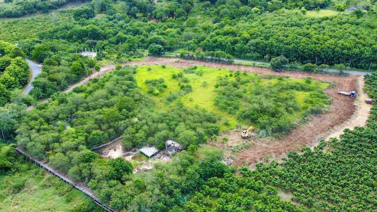Land for sale 18 rai 2 ngan 25 sq.w. Pak Chong Korat Land for sale 18 rai 2 ngan 25 sq.w. Pak Chong Korat