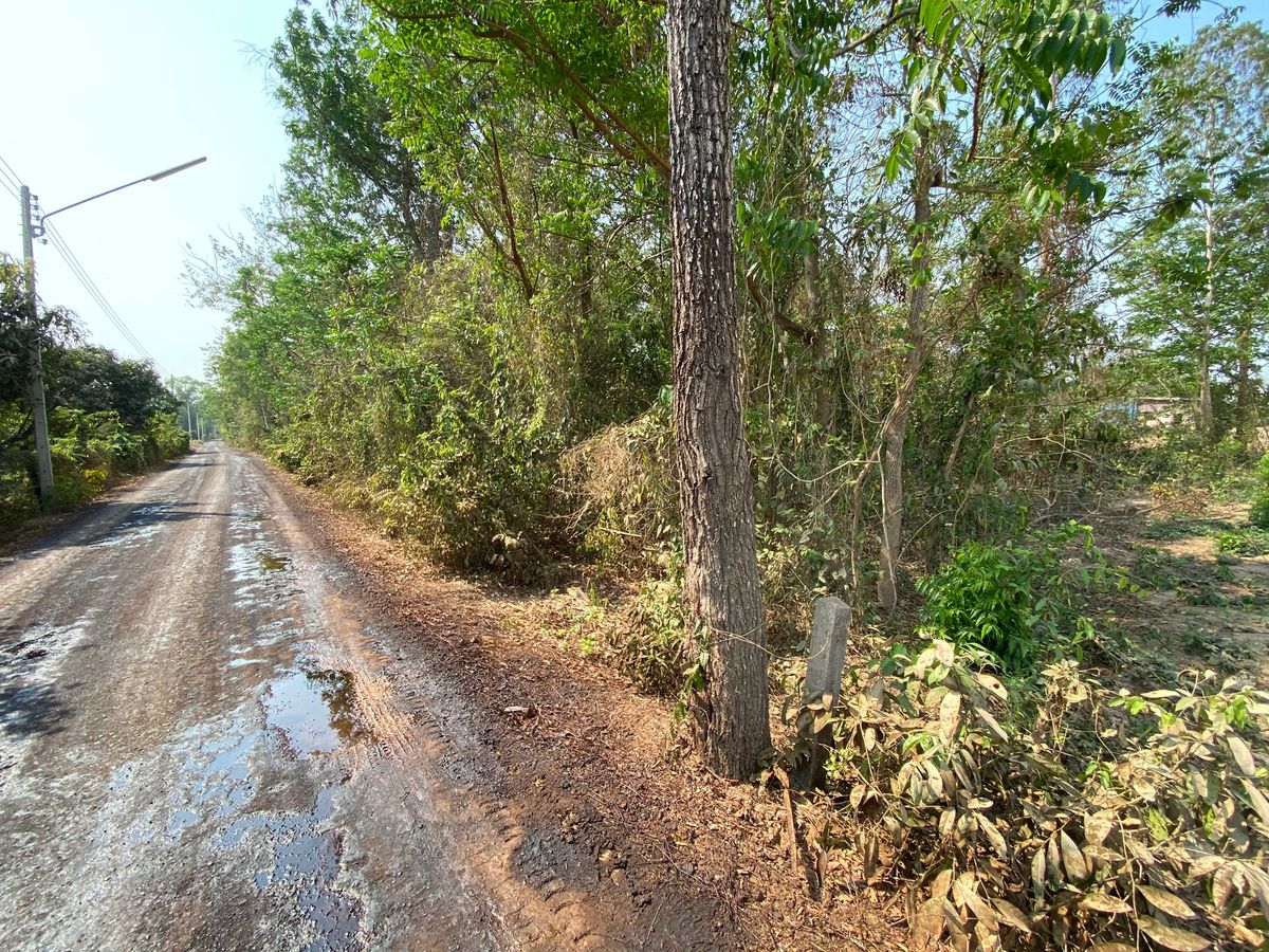 ขายที่ดินปราจีนบุรี (โคกไทย) 1 ไร่ 1 งาน  – รูปที่ 2